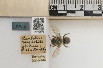 Media type: image;   Entomology 790973 Aspect: Labels
